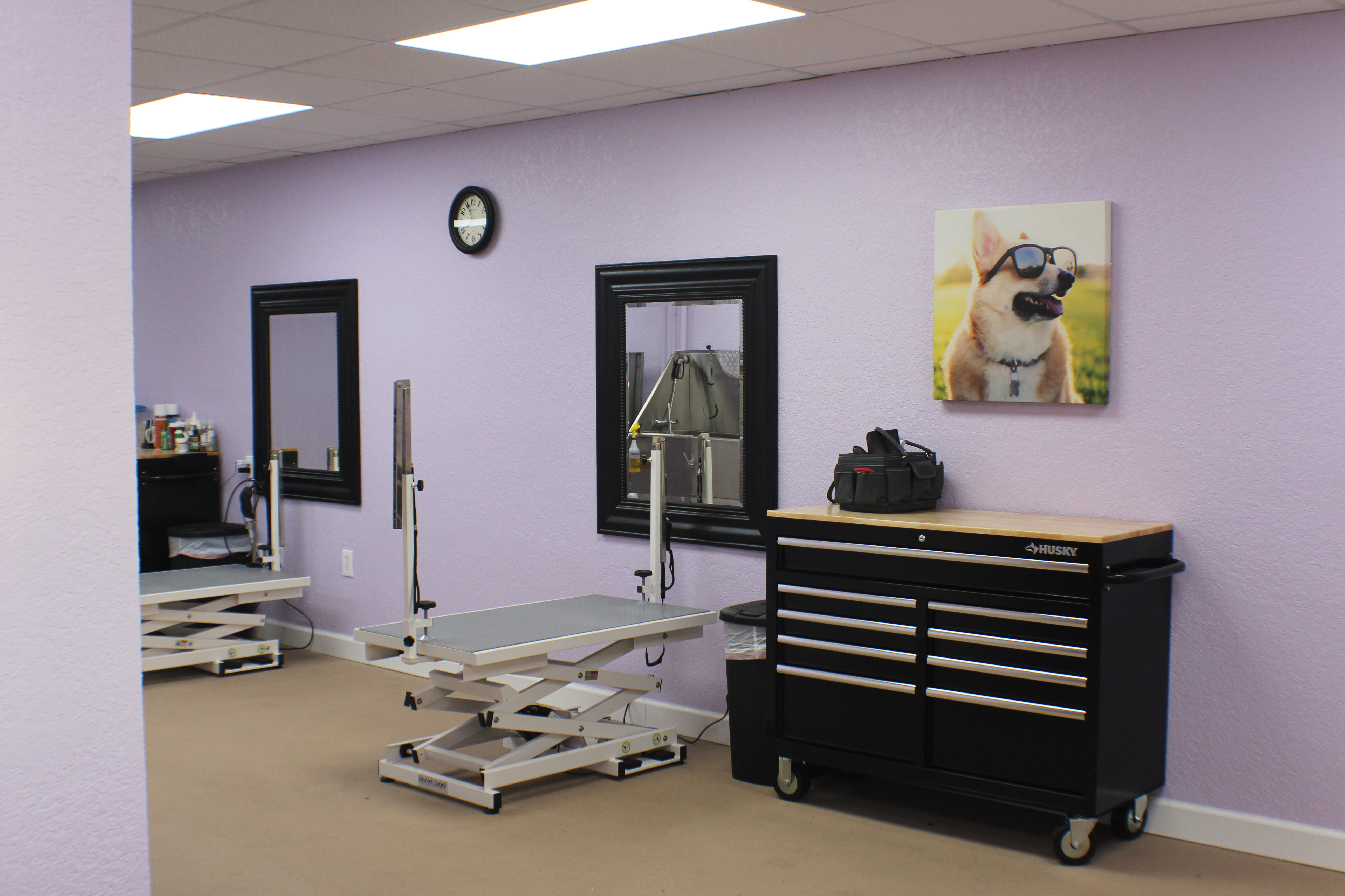 dog grooming salon equipment packages