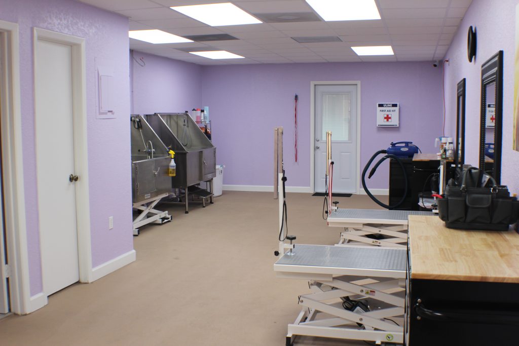 grooming salon equipment