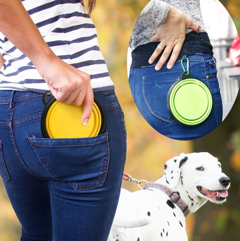 Portable Dog Dish Important for Dog Hydration Barks and Recreation