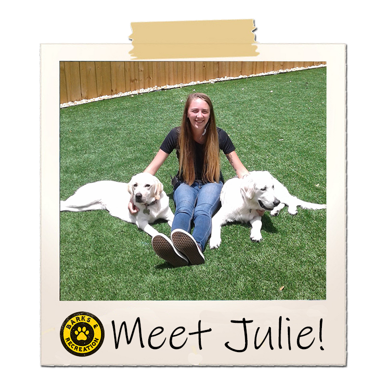 Barks & Recreation | Seminole, Florida | Doggy Daycare | Dog Daycare | Dog Boarding | Boarding