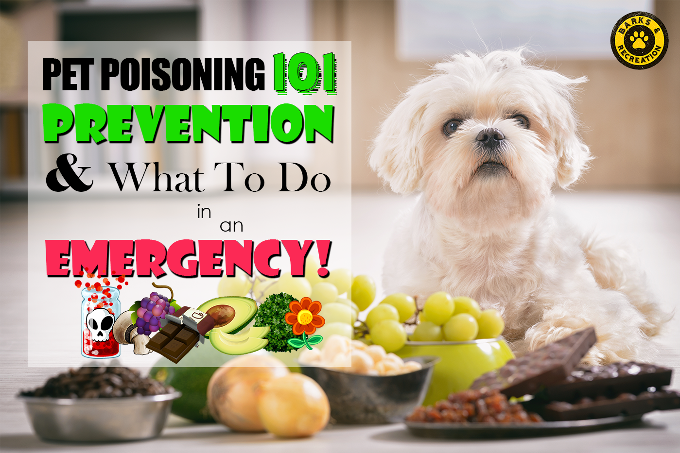 Pet Poisoning Prevention & Emergency Situations Barks and Recreation