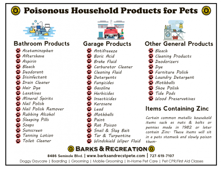 Toxic Foods For Dogs Printable